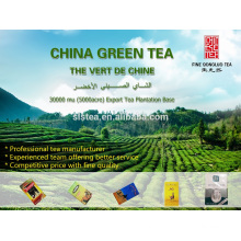 Gunpowder tea, Gunpowder green tea, Chinese Gunpowder tea 9375